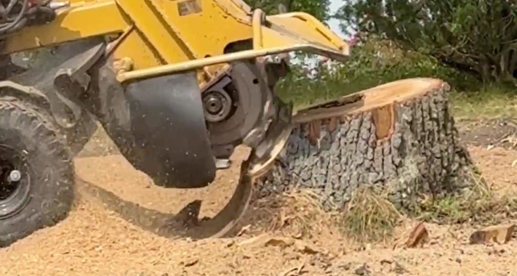 Stump Grinding